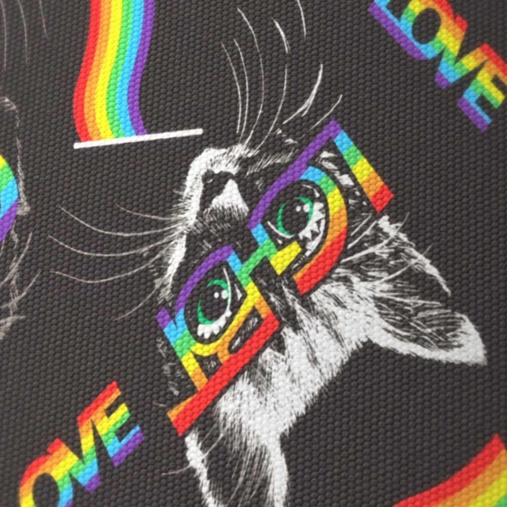 Rainbow Cat lampshade