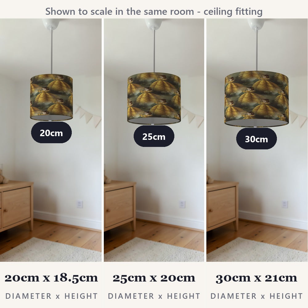 Enchanting Princess Theme lampshade