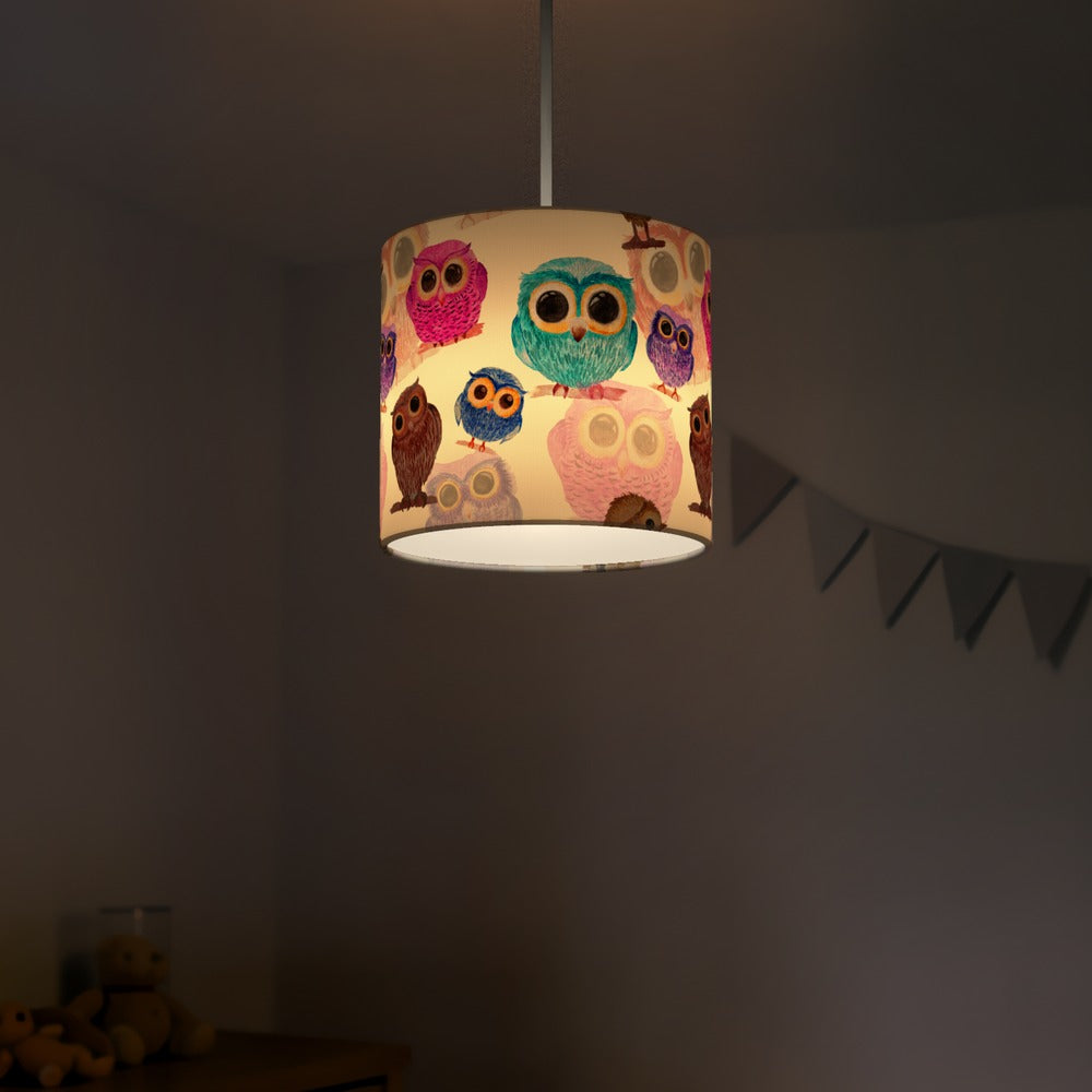 Colorful Owl Bird lampshade